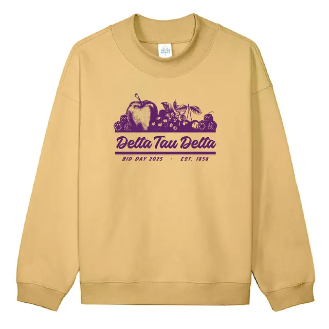 Delta Tau Delta Fruit Illustration Rush & Bid Sweater 2