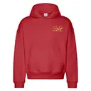 Sigma Phi Epsilon Flowing Script Rush Hoodie 2