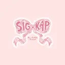 Sigma Kappa Plaid Bow Big Little Reveal Shirt