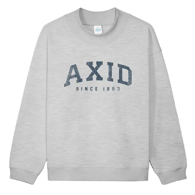 Alpha Xi Delta Distressed Block Text PR Crewneck-2