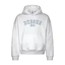 Delta Gamma Curved Text Big Little Reveal Hoodie 2