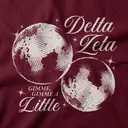 Delta Zeta Disco Ball Big Little Reveal Hoodie