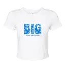 Alpha Omicron Pi Shell Pattern Big Little Reveal Shirt 2