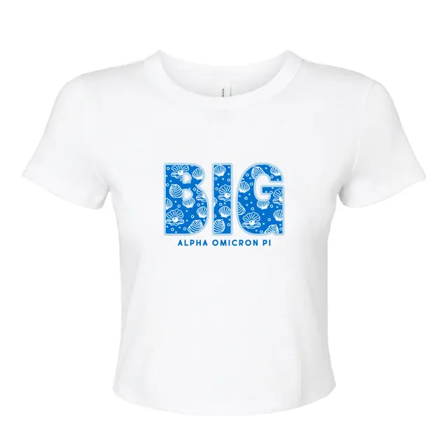 Alpha Omicron Pi Shell Pattern Big Little Reveal Shirt 2