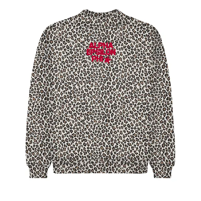 Alpha Epsilon Phi Red Block Text with Star PR Sweater 2