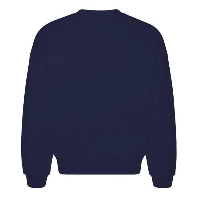 Fresh Prints Chicago Crewneck Navy mto Back
