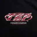 Tau Epsilon Phi Bold Outlined Text PR Hoodie
