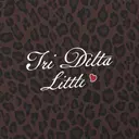 Delta Delta Delta Script Lettering with Heart Big Little Reveal Hoodie