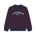 College Republicans Arched Lettering Striped Sweater 2