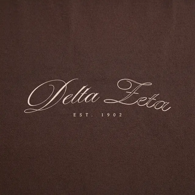 Delta Zeta Scripted Lettering PR Hoodie
