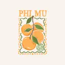 Phi Mu Peach and Branch Illustration PR Shirt