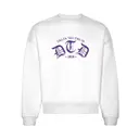 Delta Tau Delta Distressed Lettering PR Sweater 2
