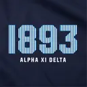 Alpha Xi Delta Striped Year Text PR Hoodie
