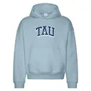 Alpha Tau Omega Bold Distressed Rush Hoodie 2