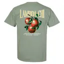 Lambda Chi Alpha Vintage Cranberries PR Shirt 2