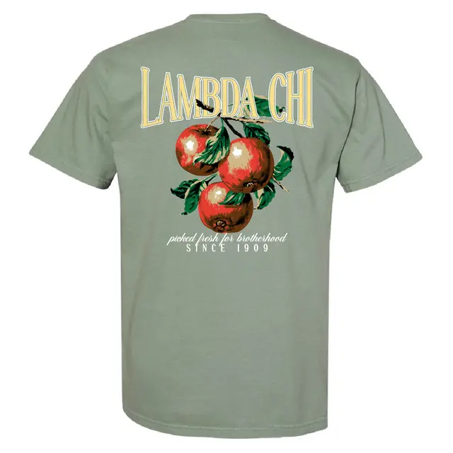 Lambda Chi Alpha Vintage Cranberries PR Shirt 2