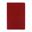 Flat lay for 20843-RED (Front)