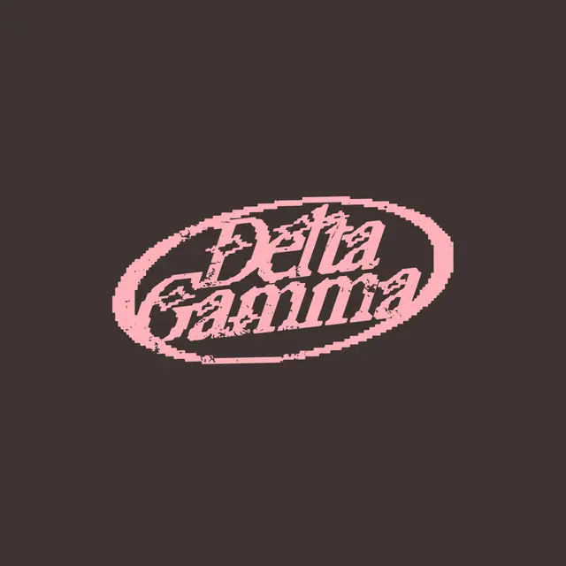 Delta Gamma Pink Distressed Oval Text PR Hoodie