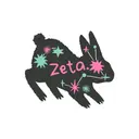 Zeta Tau Alpha Starry Bunny PR Hoodie