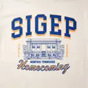 Sigma Phi Epsilon Bold Block Letters Homecoming Hoodie