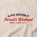 Alpha Omicron Pi Arched Lettering Parent's Weekend Hoodie