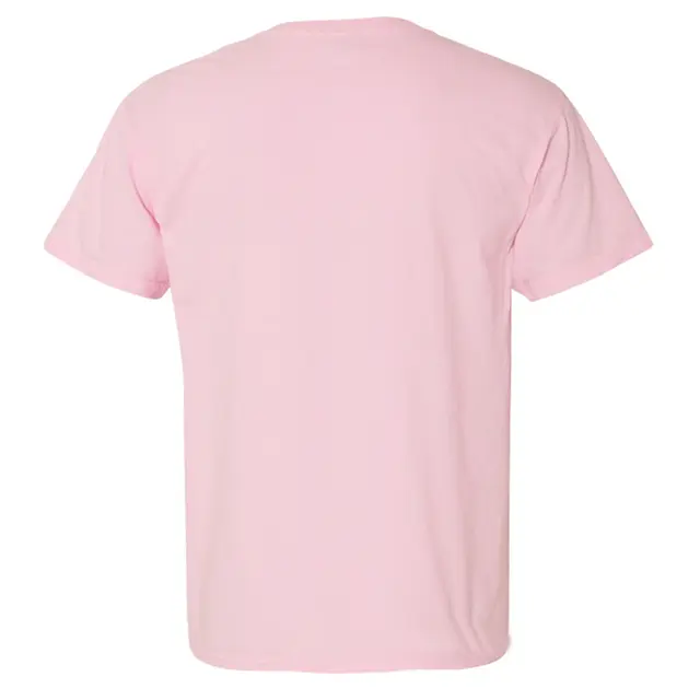 Comfort Colors Adult Heavyweight T-Shirt c1717 Blossom Back