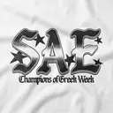 Sigma Alpha Epsilon Bold Lettering Champions of Greek Week Hoodie