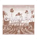 Gamma Phi Palm Illustration Retreat Shirt
