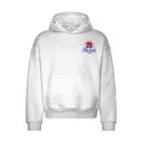 Phi Delta Theta Coastal Sunset Illustration PR Hoodie 2
