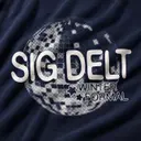 Sigma Delta Tau Disco Ball Design Formal Hoodie