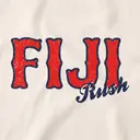 Phi Gamma Delta Vibrant Block Lettering Rush Hoodie