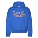 Delta Tau Delta Arched Block Lettering PR Hoodie 2