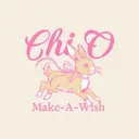 Chi Omega Bunny Illustration Philanthropy Hoodie