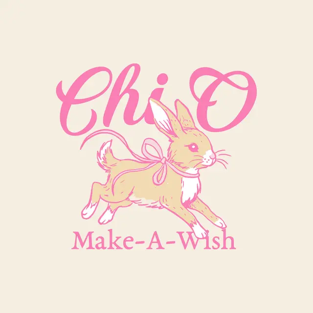 Chi Omega Bunny Illustration Philanthropy Hoodie