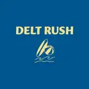 Delta Tau Delta Beach Ball and Surfboard Rush Hoodie