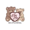 Phi Mu Teddy Bear Plaid Heart Big Little Reveal Tank