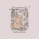 Sigma Nu Bear and Honey Rush Week Shirt