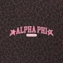 Alpha Phi Star Accents Leopard Pattern Recruitment Hoodie