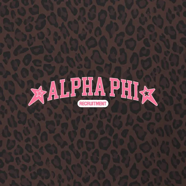 Alpha Phi Star Accents Leopard Pattern Recruitment Hoodie