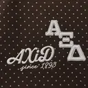 Alpha Xi Delta Dotted Design PR Hoodie