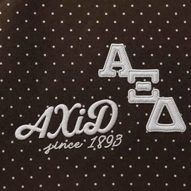 Alpha Xi Delta Dotted Design PR Hoodie