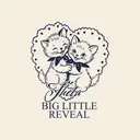 Kappa Alpha Theta Cute Kittens Big Little Reveal Hoodie