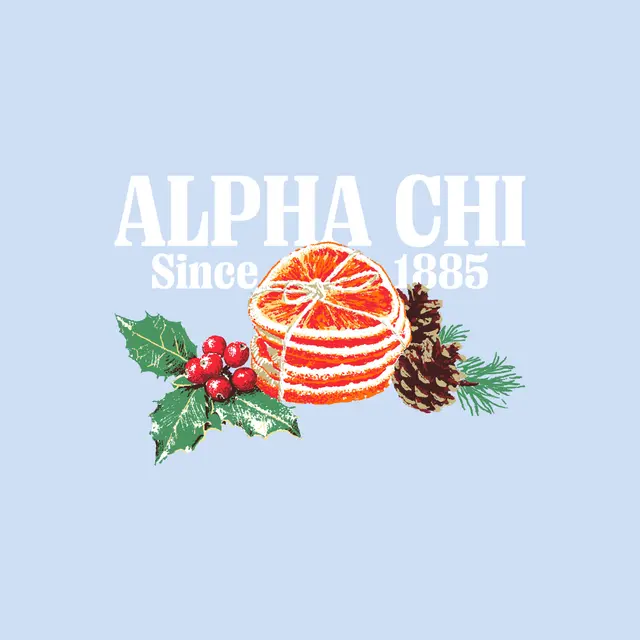 Alpha Chi Omega Festive Orange and Pine Cone PR Hoodie