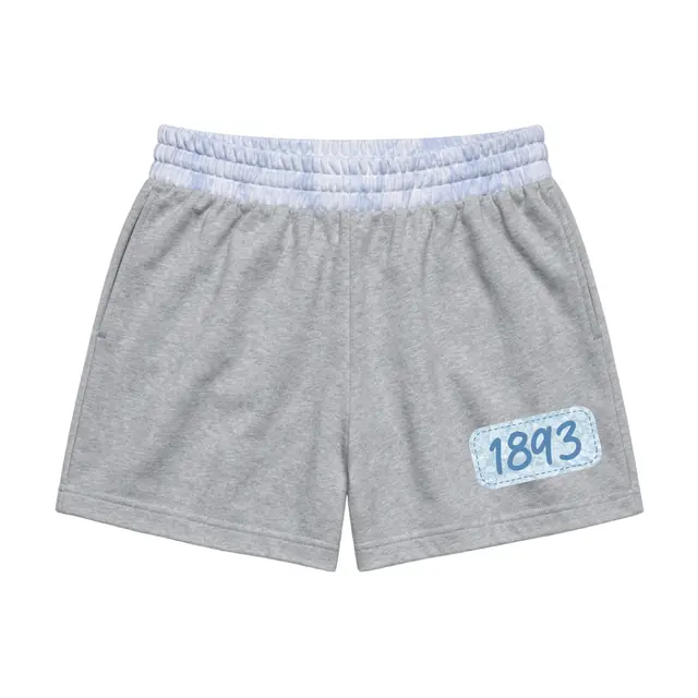 Alpha Xi Delta Stitched Text PR Shorts 2