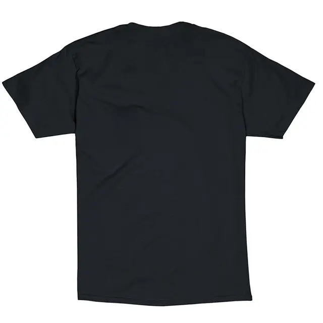 Hanes Men's Authentic-T Pocket T-Shirt h5590 Black Back