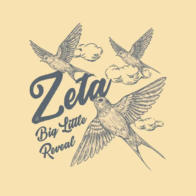 Zeta Tau Alpha Birds and Clouds Big Little Reveal Shirt