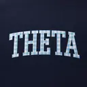 Kappa Alpha Theta Gingham Pattern Lettering PR Hoodie