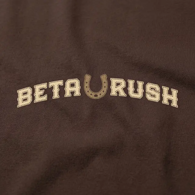 Beta Theta Pi Horseshoe Bid Rush Hoodie