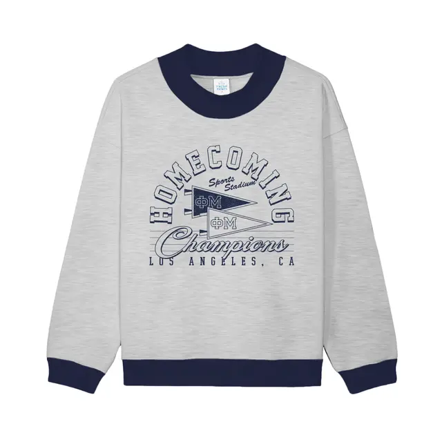Phi Mu Pennant Graphic Homecoming Hoodie 2
