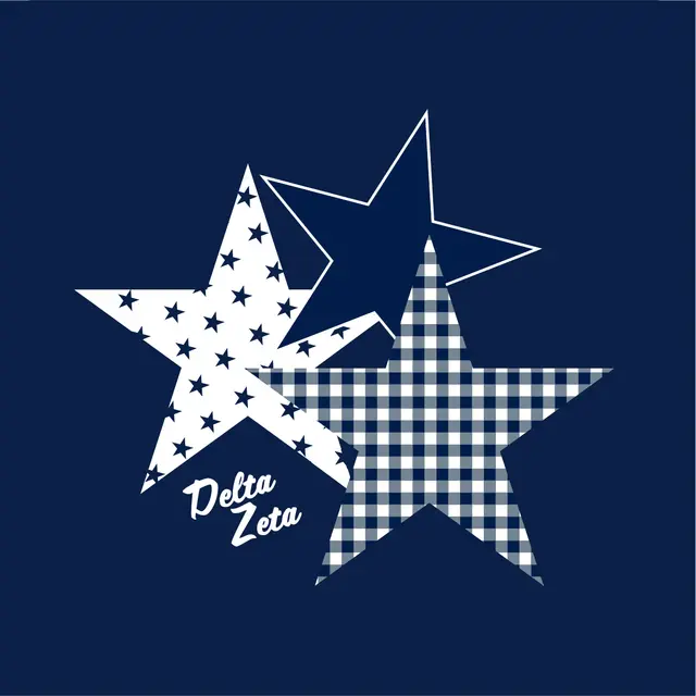 Delta Zeta Star Pattern PR Shorts